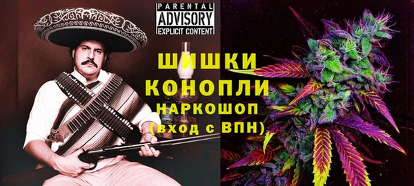 PSILOCYBIN Алексеевка