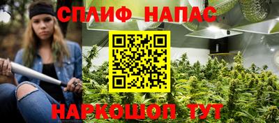 крисы Тверь