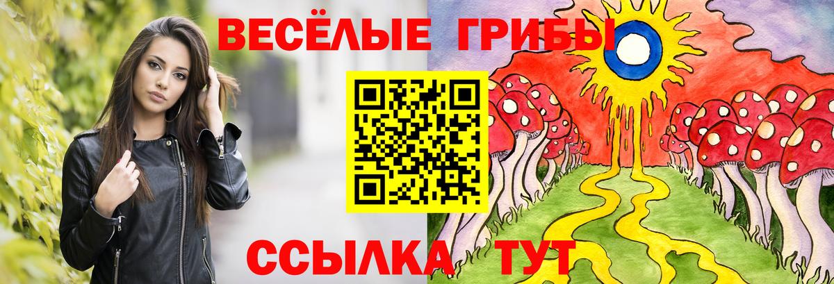 Псилоцибиновые грибы MAGIC MUSHROOMS Сосновый Бор