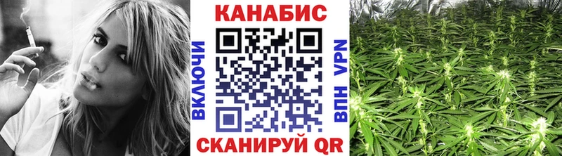 Конопля семена Сосновый Бор